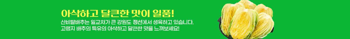 아삭하고 달큰한 맛이 일품!